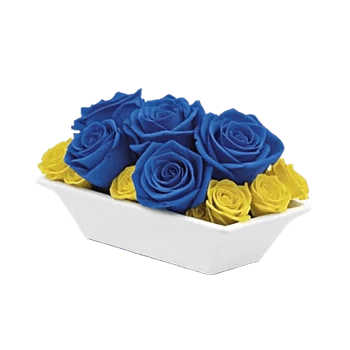 Elegant Blue Roses
