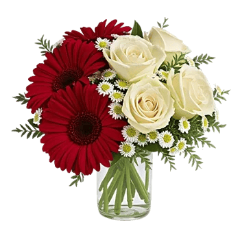 Petal Radiance Bliss