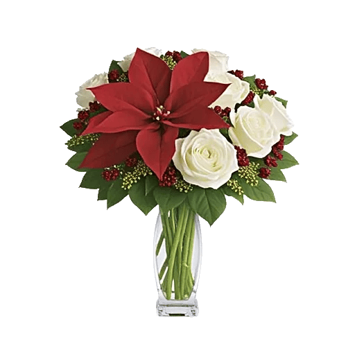 Crimson Rose Elegance