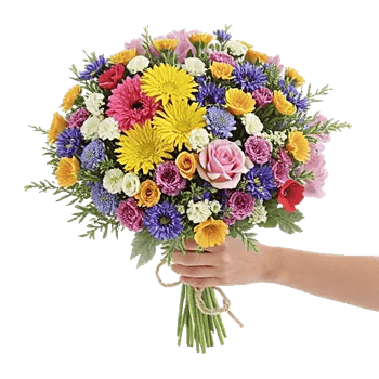Fresh Meadow Blooms