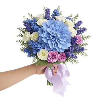 Sapphire Bloom Whisper