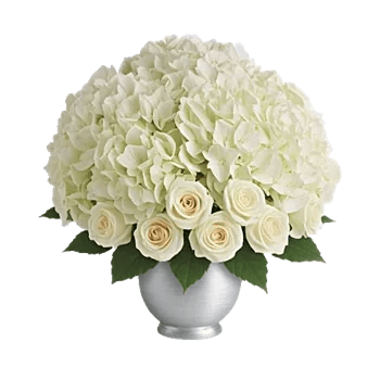 Ivory Blossom Radiance