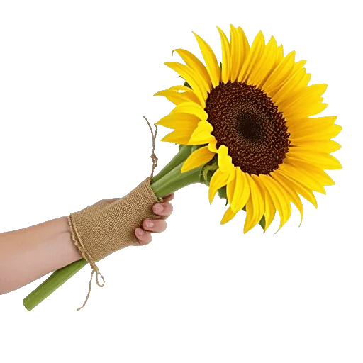 Twinkling Sunflower Dance