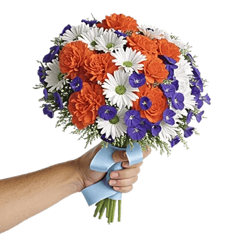 Petal Harmony Bliss