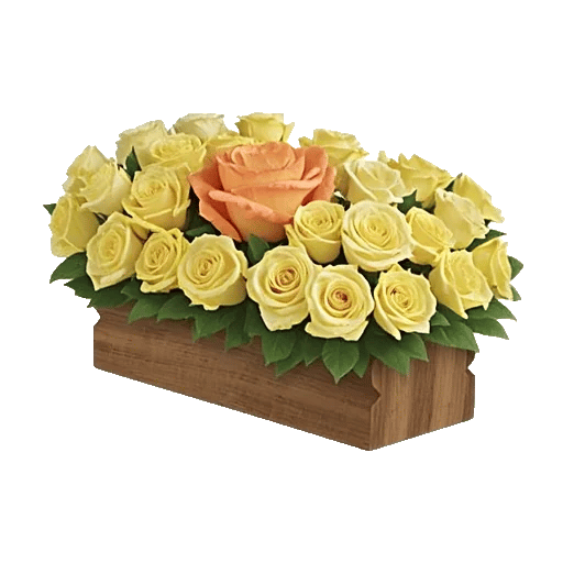 Radiant Rose Symphony