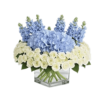 Azure Sky Blooms