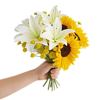 Blossom Harmony Display