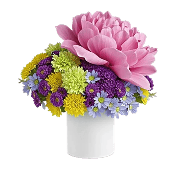 Petal Radiance Bliss