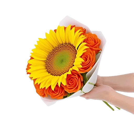 Amber Sunflower Glow
