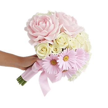 Peony Petal Harmony