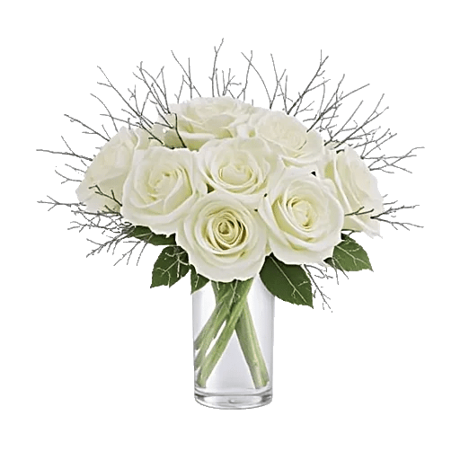 Ivory Blossom Radiance