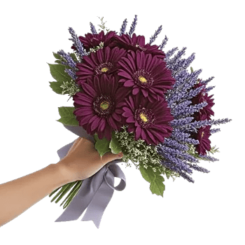 Silken Petal Array