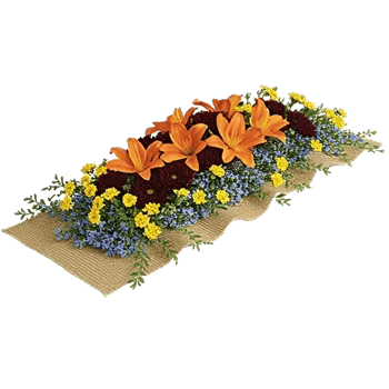 Radiant Bloom Cascade