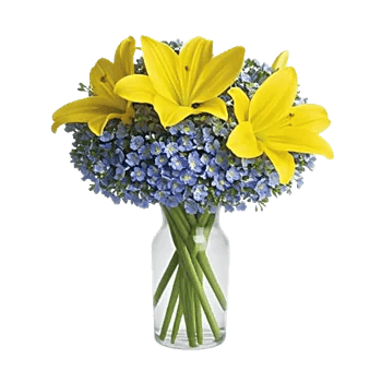 Graceful Lily Display