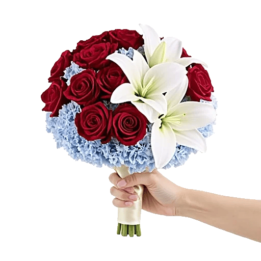 Crimson Rose Elegance