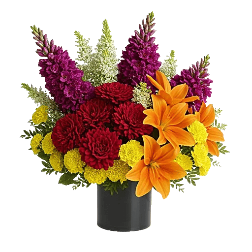 Petal Radiance Bliss