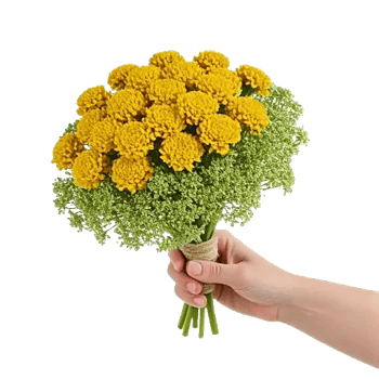 Petal Harmony Bliss