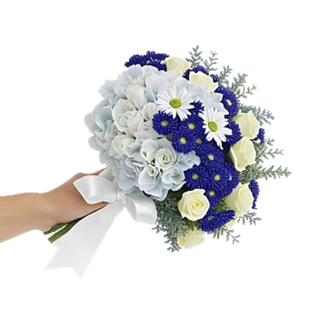 Serene Petal Harmony