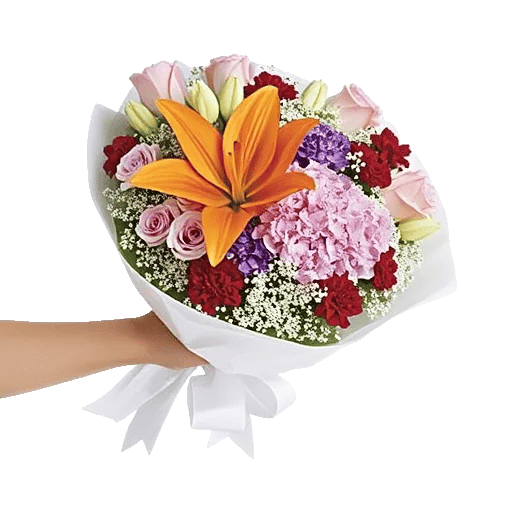 Blossom Glow Symphony