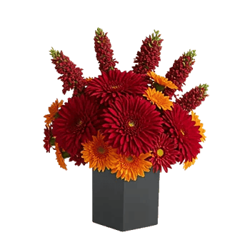 Crimson Blossom Harmony