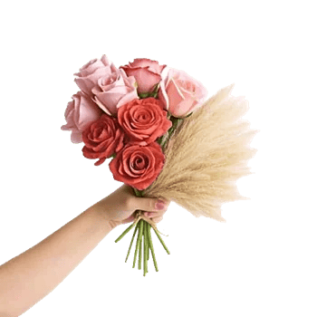 Pastel Pink Roses