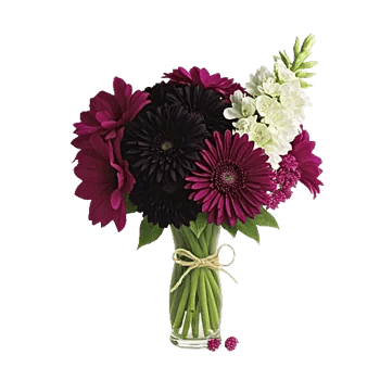 Petal Radiance Bliss