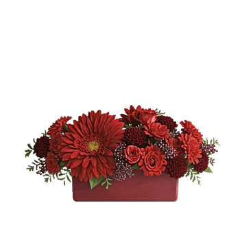 Deep Red Foliage