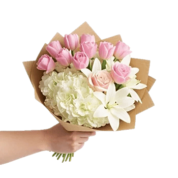 Blossom Harmony Display