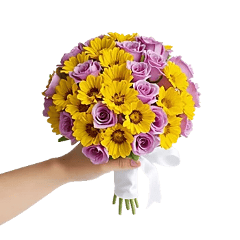 Petal Grace Harmony