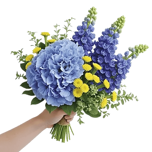 Sapphire Bloom Whisper