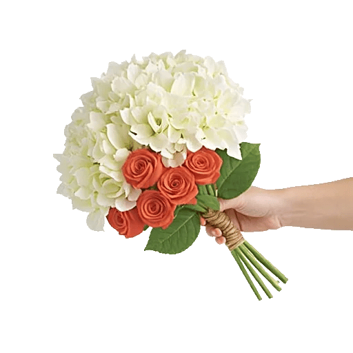 Ivory Blossom Radiance