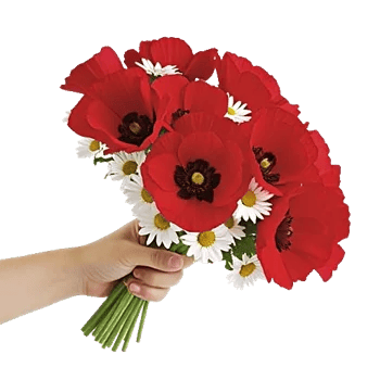 Blossom Harmony Display