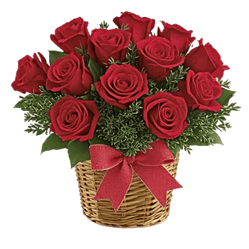 Crimson Rose Elegance