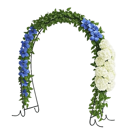 Minimalist White Orchids