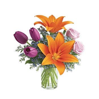 Velvet Tulip Display