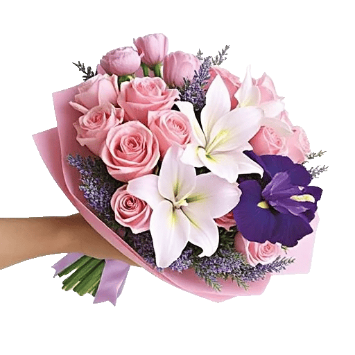 Blushing Rose Symphony