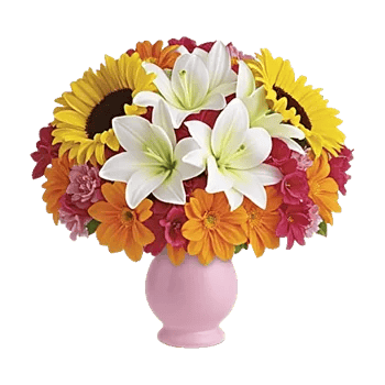 Petal Radiance Bliss