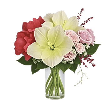 Ivory Blossom Radiance