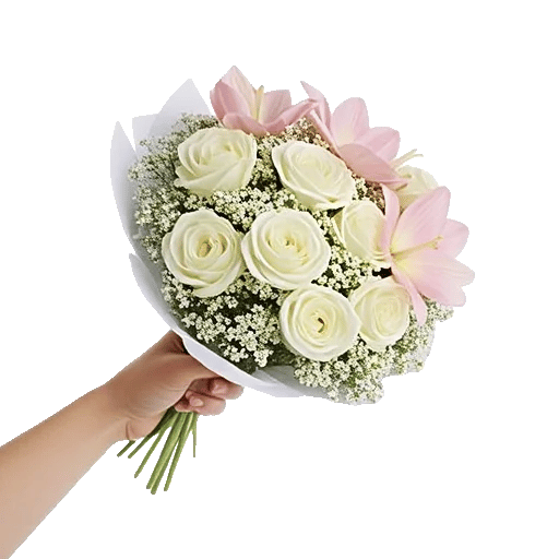 Blushing Rose Symphony