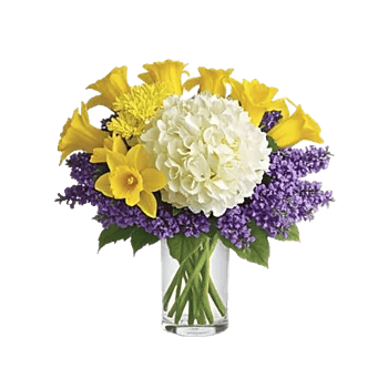 Ivory Blossom Radiance