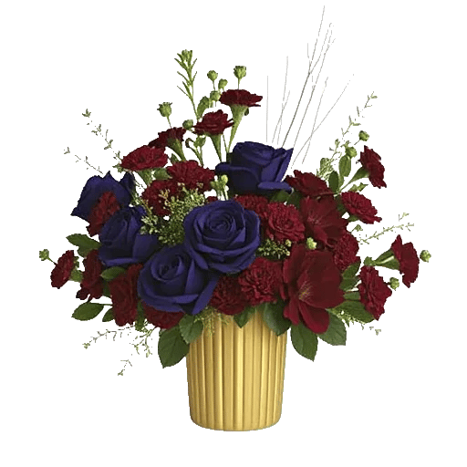 Regal Burgundy Display