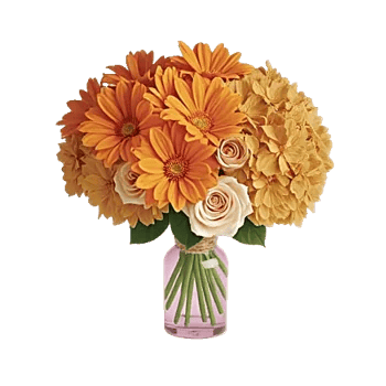 Blushing Rose Symphony