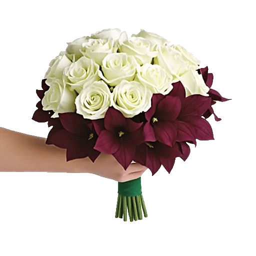 Blushing Rose Symphony