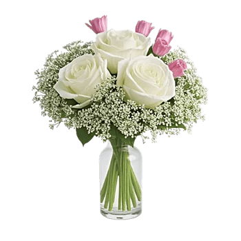 Ivory Blossom Radiance