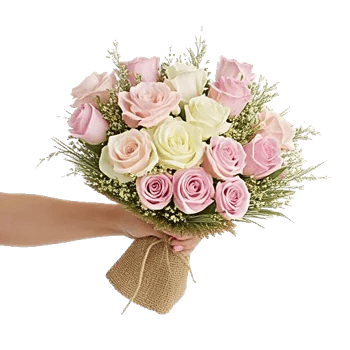 Pastel Pink Roses