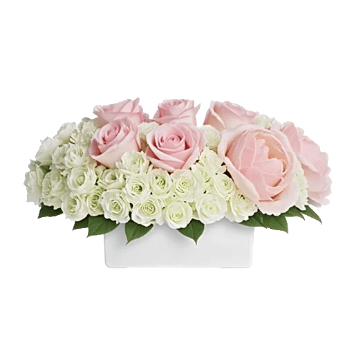 Delicate Petal Cascade