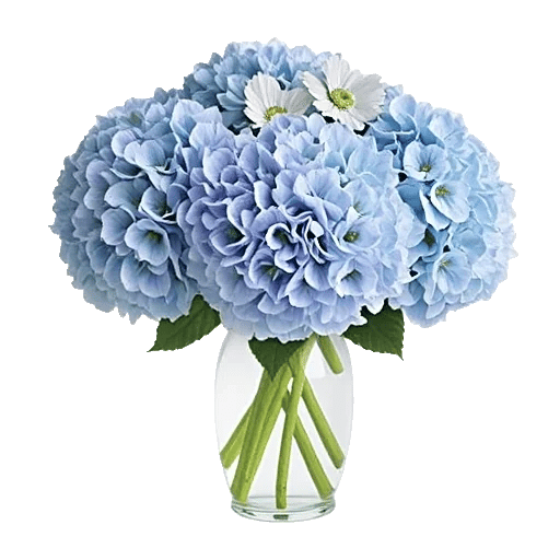 Azure Sky Blooms