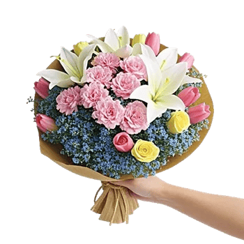 Petal Harmony Bliss