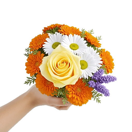 Blossom Harmony Display