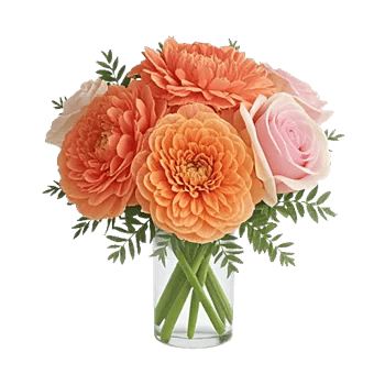 Petal Radiance Bliss